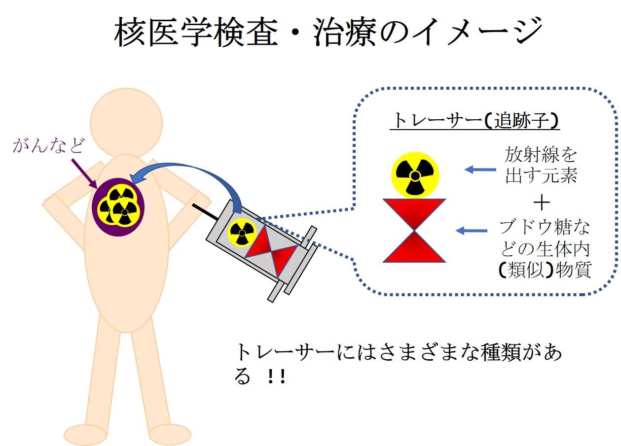 放射線科:基本情報 – 虎の門病院 放射線科:基本情報 – 虎の門病院